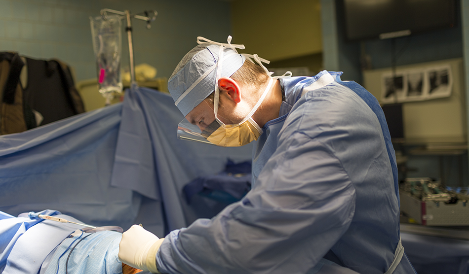 Orthopedic surgeon performs surgery in an operating room