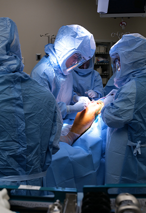 Dr Kusnezov performing surgery with a team